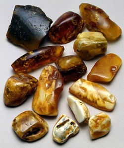Baltic amber Baltic amber