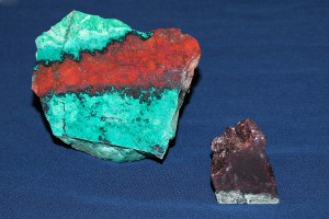 Courtland's specimens 2