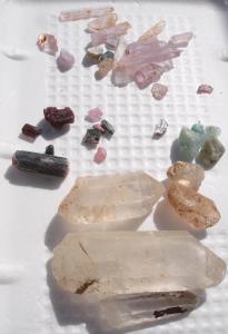 Findings from the Fee-Dig