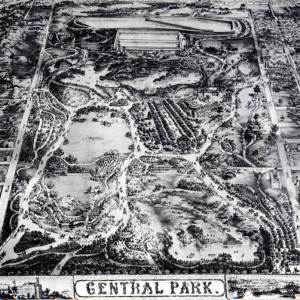 Central Park