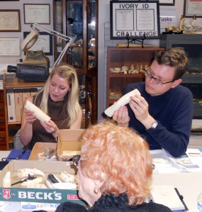 Narwhal and Sperm Whale Teeth